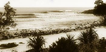 Tea tree in '65...amazing..1 guy out... Noosa Heads before the crowds...awesome...

