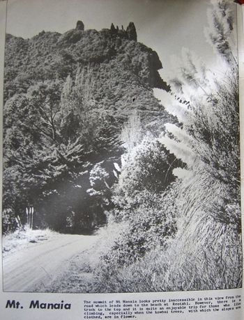 Ocean Bch road 1959 single track metal road..no doubt full of potholes and corrigation ( i know it was in '62)  and probably still quite isolated then!!...most beach roads around NZ were like this then....

