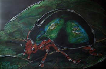 Terry Matsuoka- Beetle oil pastel and glue on paper, available

