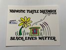 Hypnotic Turtle DreamBox Postcard Set 