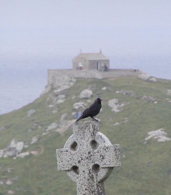 Cornwall Graveyard Crow
