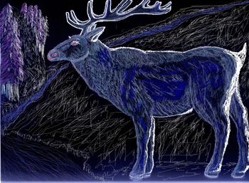 Pastel On Canvas Art By Tim Couch Caribou In The Moolight
