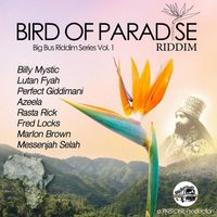 Bird Of Paradise by Big Bus Records