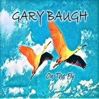On The Fly by Gary Baugh singer-songwriter