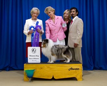 May 2, 2010 Winner's Dog & best Of Winner's Austin Specialty under Judge Sandra Macambridge
