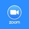 30 Minute Zoom Lesson