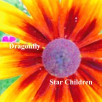Dragonfly by Star Children