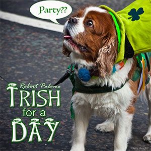 Song art image - Irish for a Day