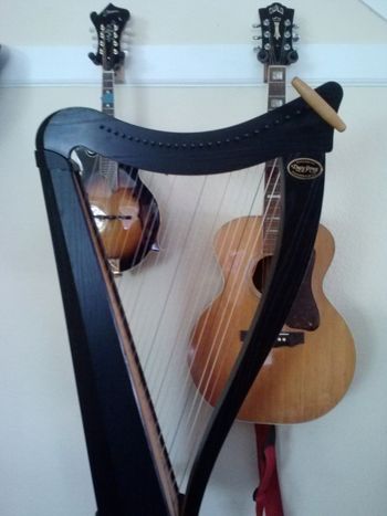 harpguitarmandy
