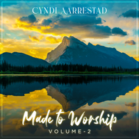 Made To Worship, Vol. 2 by Cyndi Aarrestad
