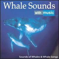 Whale Sounds With Music: Sounds of Whales & Whale Songs by Steven Snow