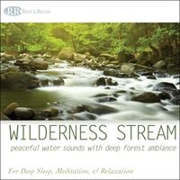 Wilderness Stream: Peaceful Water Sounds With Deep Forest Ambiance Nature Sounds for Deep Sleep, Med by Robbins Island Music Group