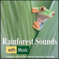 Rainforest Sounds With Music: Sounds of the Rainforest Amazon Sounds by Steven Snow