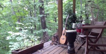 musical forest
