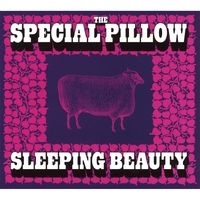 Sleeping Beauty by The Special Pillow