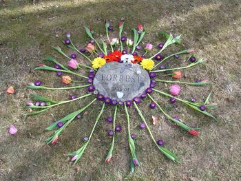 This was the first time I decorated my son's grave.  Felt good to do it for his friend Molly who lived too far away to do it herself
