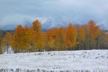 fall in The Tetons
