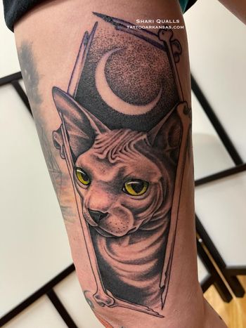 Sphinx Cat Portrait by Shari Qualls at Lucky Bella Tattoos in North Little Rock, AR
