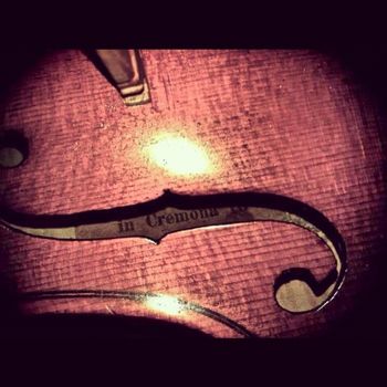 My violin
