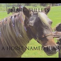 A Horse Named Juan by Majic Bullets