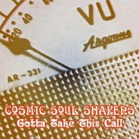 Gotta Take This Call by Cosmic Soul Shakers