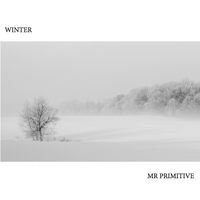 Winter-2019 by Mr Primitive
