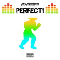 Perfect by Mic Mountain