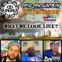 What We Look Like? feat Nujericans by Mic Mountain