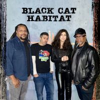 Black Cat Habitat at The Nail!