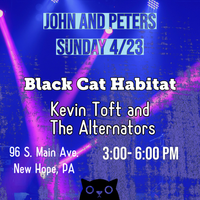 Black Cat Habitat at John and Peters!
