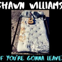 If You're Gonna Leave" by Shawn Williams