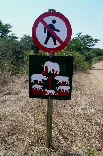 They recommend you don't walk around in the reserve! The 'big five' game animals can be dangerous...
