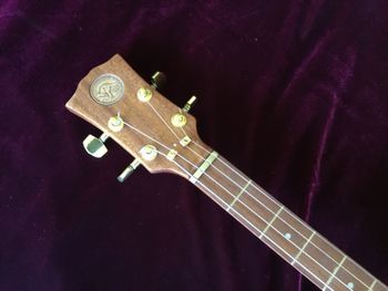 Head stock detail with vintage Aussie penny insert
