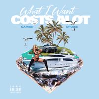 What I Want Costs a Lot by Damien Cruise