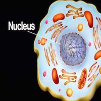 B Positive Cuts by Nucleus