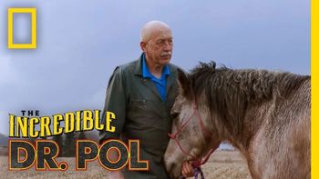 National Geographics "The Incredible Dr. Pol
