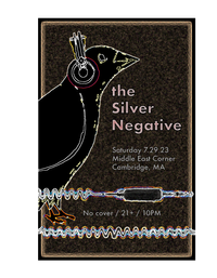 The Silver Negative
