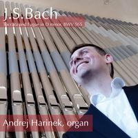 J. S. Bach: Toccata and fugue in d minor, BWV 565 by Andrej Harinek