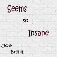Seems so Insane by Joe Brenin