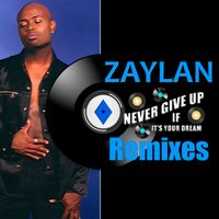 Never Give Up (If It's Your Dream) by Zaylan