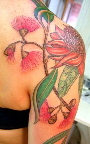 Australian flowering gum, waratah and eucalyptus botanical tattoo
