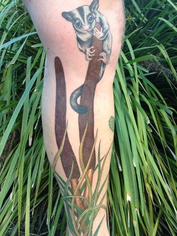 Australian Sugar glider on Blackboy (Xanthorrhoea Preissii) tattoo
