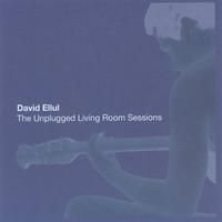 The Unplugged Living Room Sessions by David Ellul