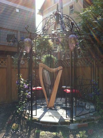 OK, I confess, this isn't a performance photo...but the harp just looks so gorgeous sitting in my friend's Portland gazebo, I had to share!
