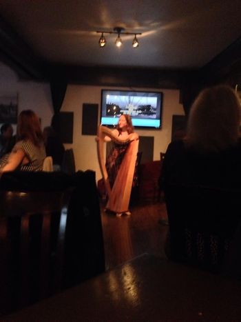 Performing at the Playwright Public House, October 2013
