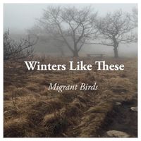 Winters Like These by Migrant Birds