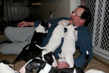 gordy and dante's litter
