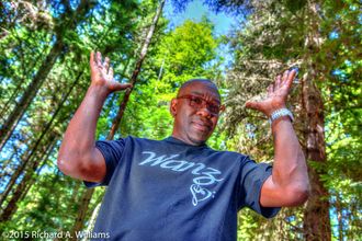 Wanz in the forest