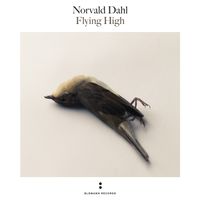 Flying High by Norvald Dahl