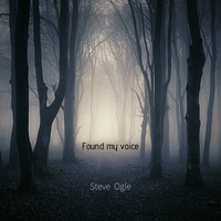 Found My Voice by Steve Ogle